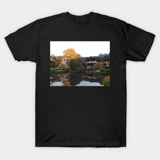 Oriental autumn T-Shirt